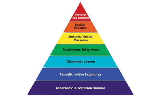 Entegre Zararlı Yönetimi (IPM) Piramidi